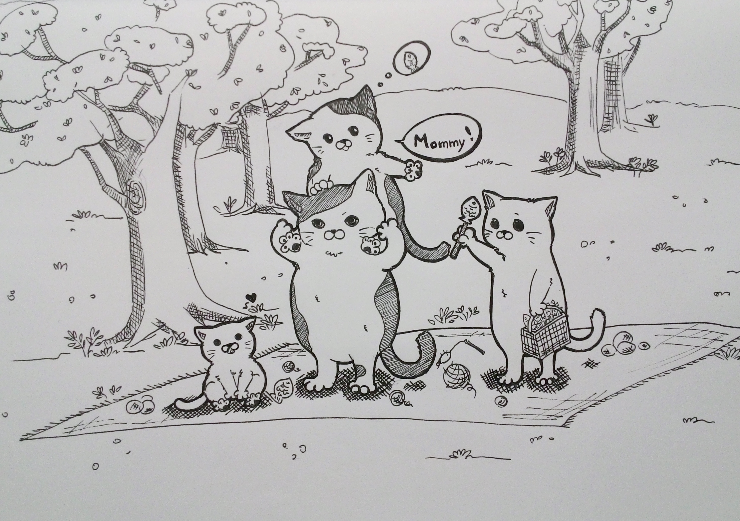 貓野餐